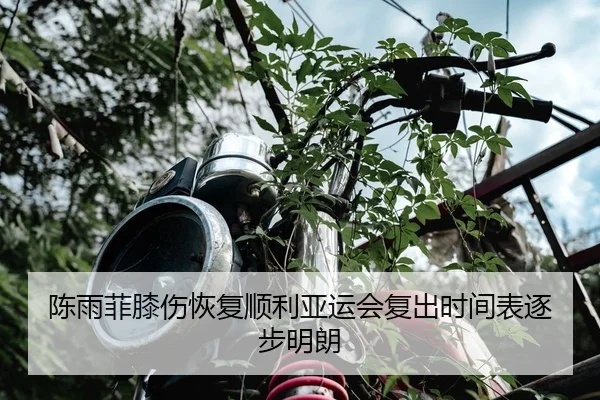 陈雨菲膝伤恢复顺利亚运会复出时间表逐步明朗