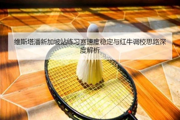维斯塔潘新加坡站练习赛速度稳定与红牛调校思路深度解析